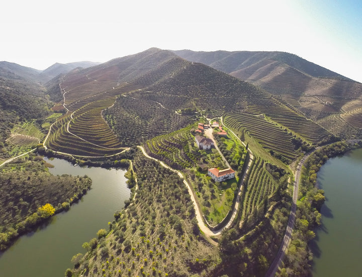 A MAGIA DA ALTITUDE: CONHEÇA O SEU IMPACTO NOS VINHOS